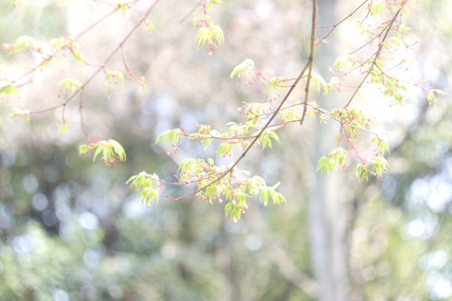 白色连衣裙旅游拍照（白色连衣裙适合什么场合）