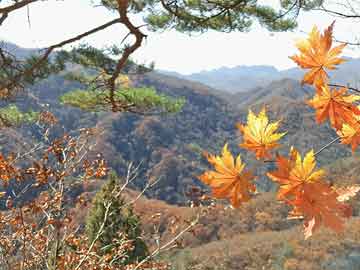 开业送花篮（开业送花篮几点送到好）